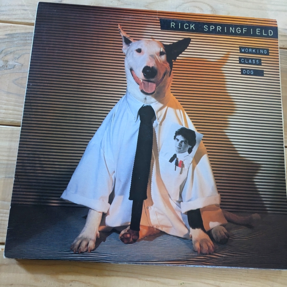 Rick Springfield | Working Class Dog LP | Vintage 1981 Vinyl Record | RCA Victor